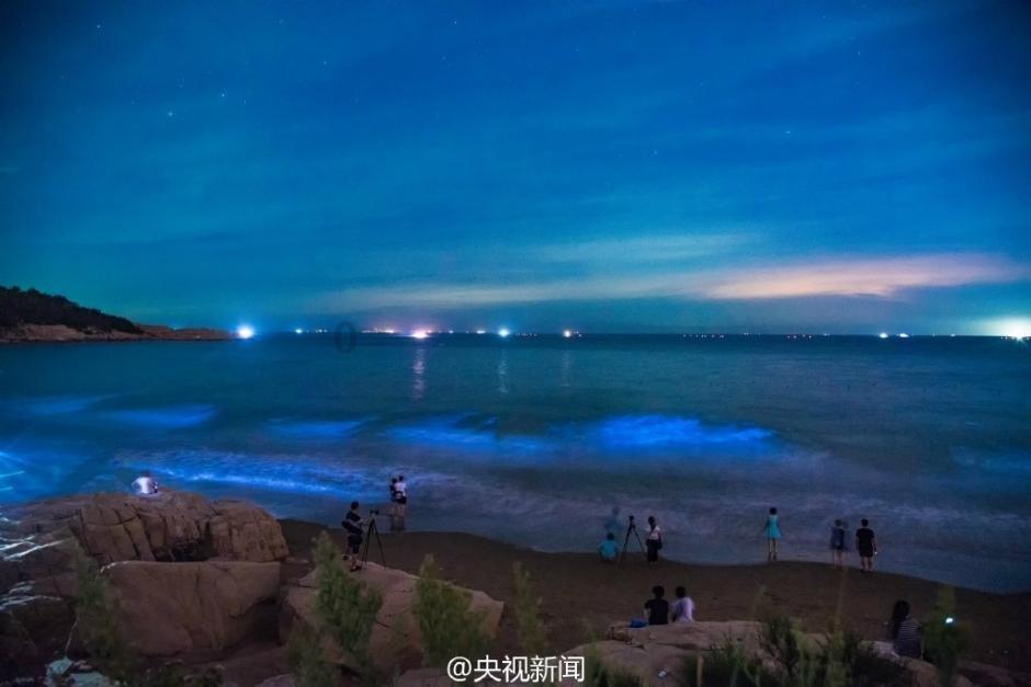 雷佳音为何能稳坐男一号？