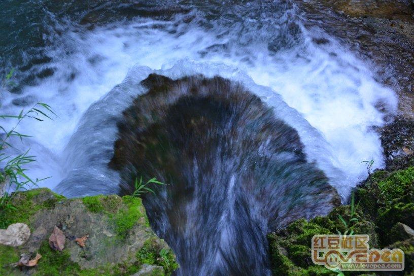 春雨直播app