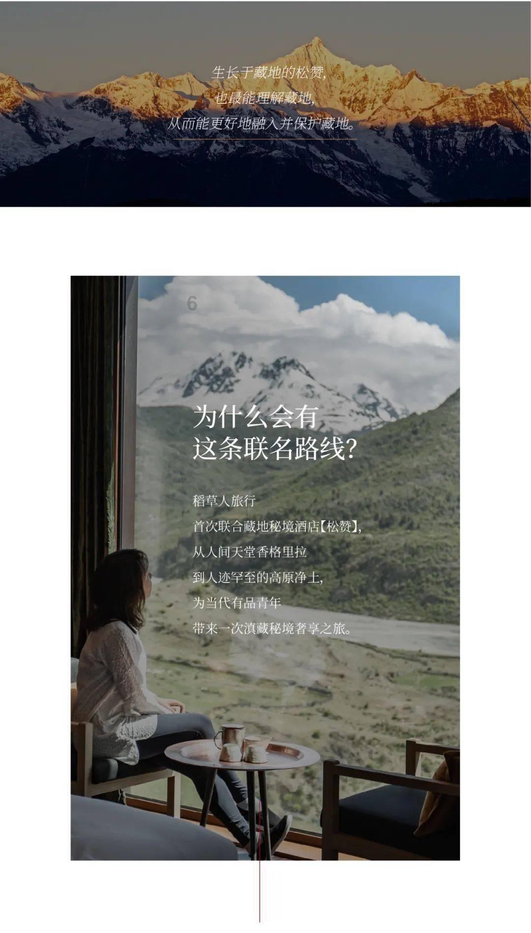 动物帮帮忙保卫家园