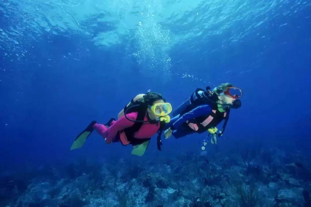 10款雪铁龙世嘉三箱怎么看变速箱油缺不缺？游戏画面