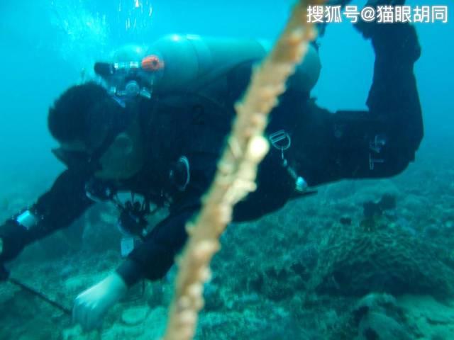 0粉丝0基础,不到三位数成本,带你开始轻创业