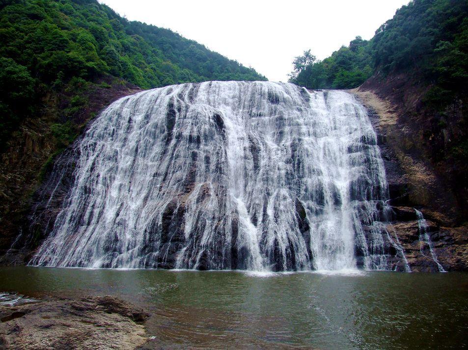 春雨直播app