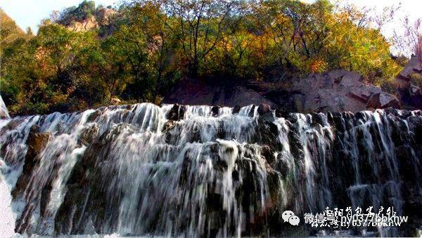 不小心割破的手，需要打破伤风？游戏画面