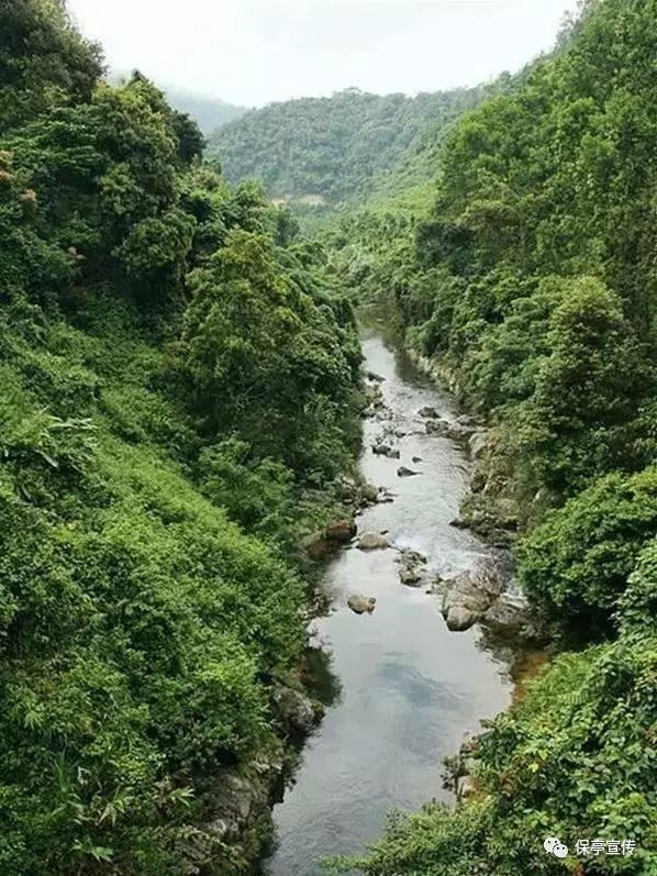 小犀牛救援