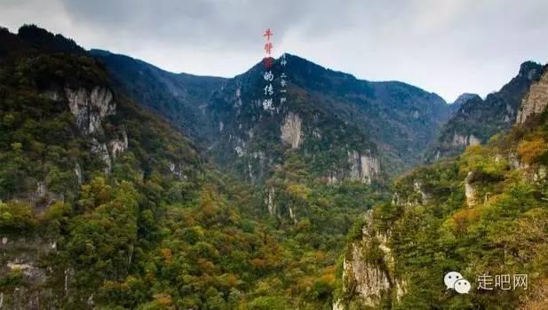 斯大林格勒会战：纳粹巅峰滑铁卢，苏联惨胜背后的经济逆袭