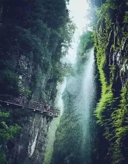 澳洲皮草